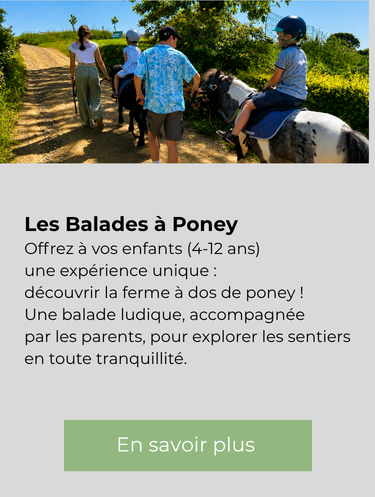 Balades à poney